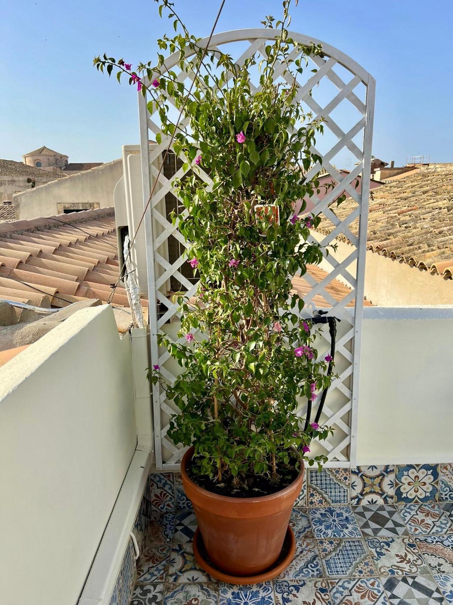 Incantevole Appartamento In Palazzo Storico Ortigia سيراكوزا المظهر الخارجي الصورة